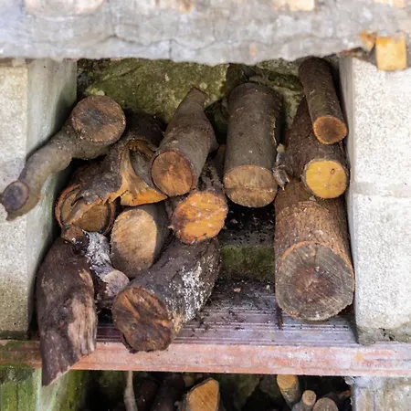 Angela Casa vacanze *